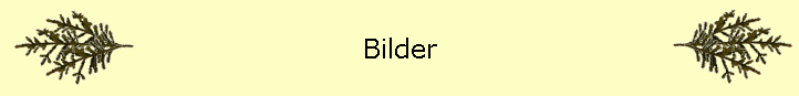 Bilder