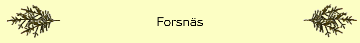 Forsns