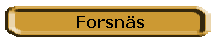 Forsns