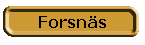 Forsns