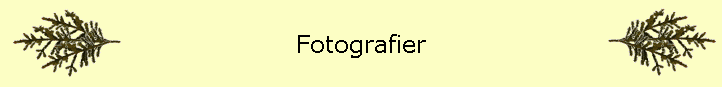 Fotografier