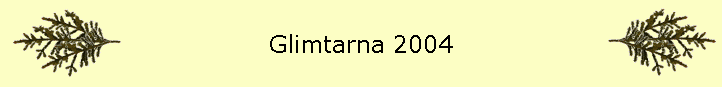 Glimtarna 2004