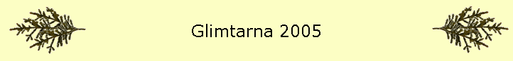 Glimtarna 2005