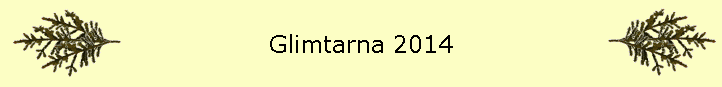 Glimtarna 2014