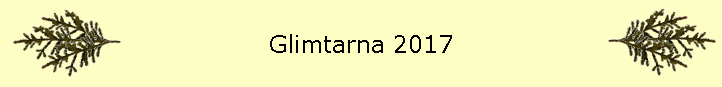 Glimtarna 2017