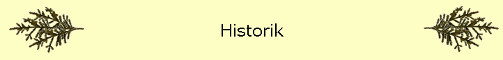 Historik