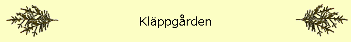 Klppgrden