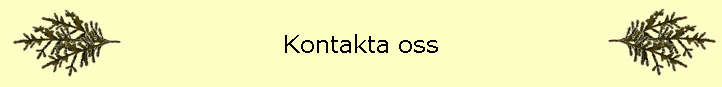 Kontakta oss