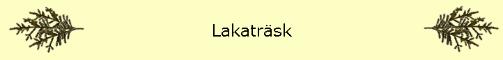 Lakatrsk