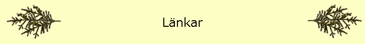 Lnkar