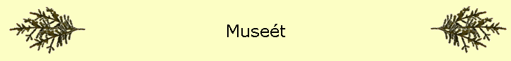 Muset