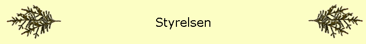 Styrelsen