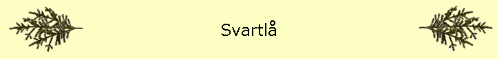 Svartl